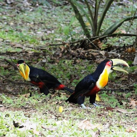 Yasi Yatere Reserva Agroecologica El Soberbio Exterior foto