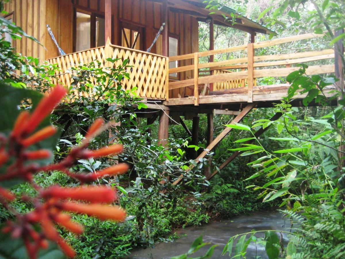 Yasi Yatere Reserva Agroecologica El Soberbio Exterior foto