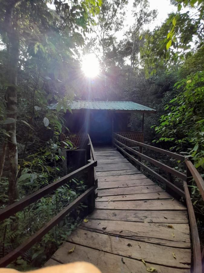Yasi Yatere Reserva Agroecologica El Soberbio Exterior foto