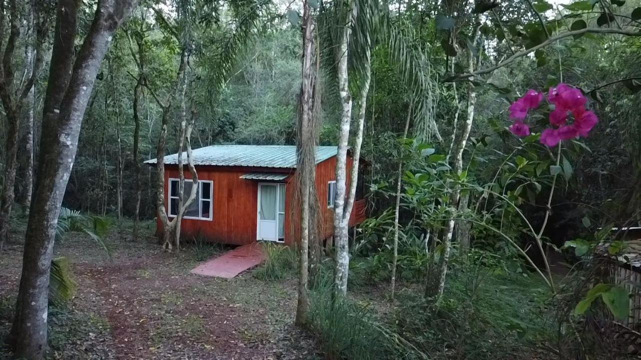 Yasi Yatere Reserva Agroecologica El Soberbio Exterior foto