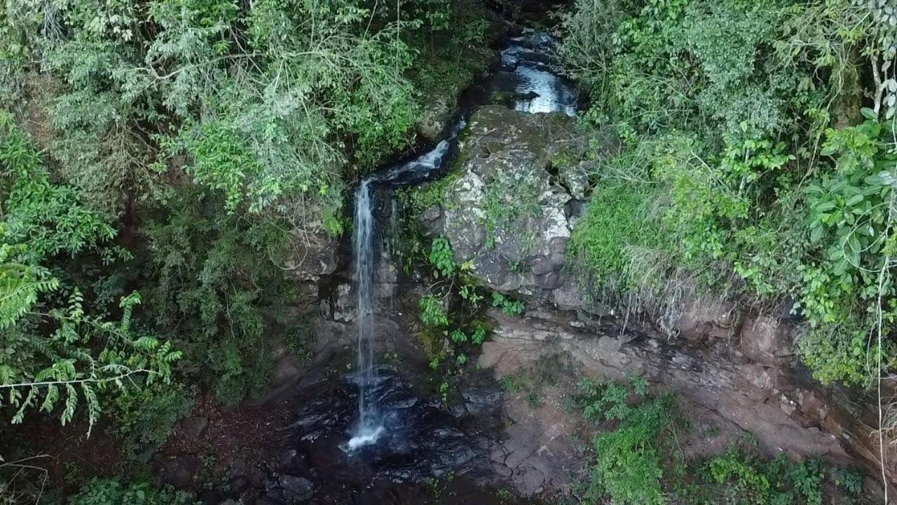 Yasi Yatere Reserva Agroecologica El Soberbio Exterior foto