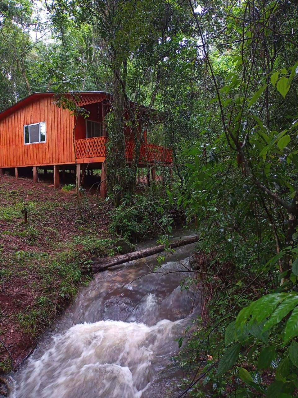 Yasi Yatere Reserva Agroecologica El Soberbio Exterior foto