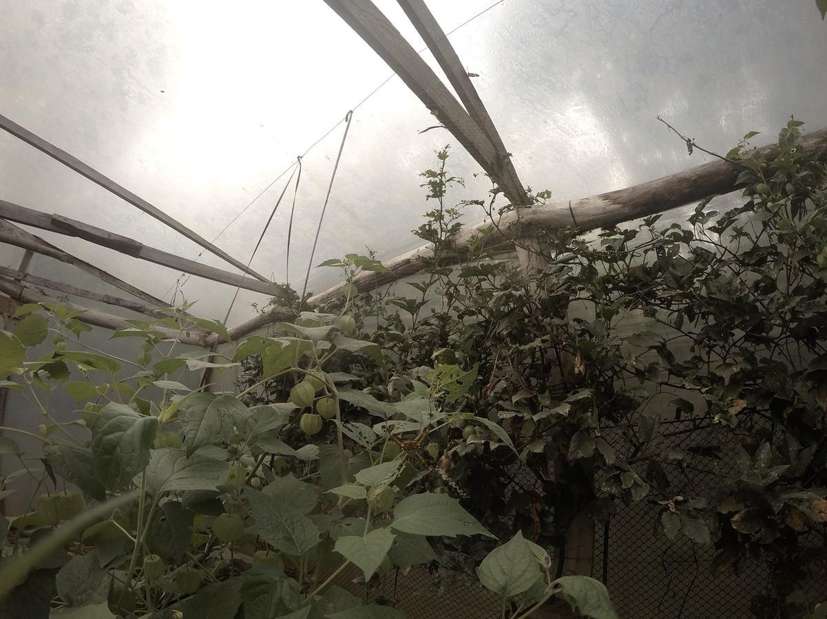 Yasi Yatere Reserva Agroecologica El Soberbio Exterior foto