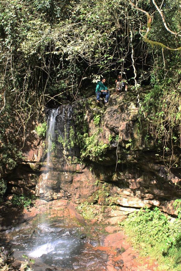 Yasi Yatere Reserva Agroecologica El Soberbio Exterior foto