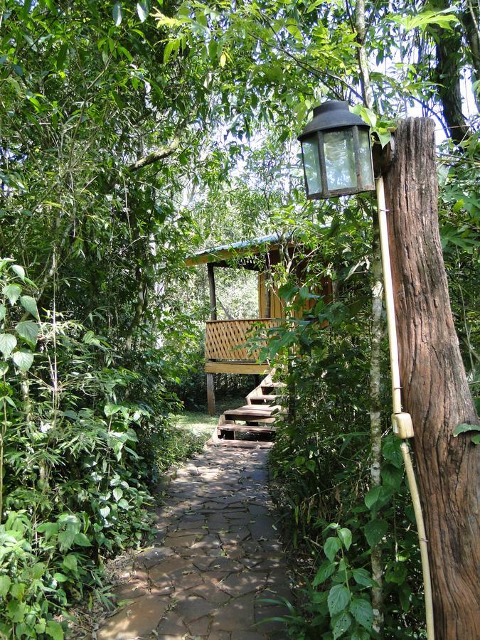 Yasi Yatere Reserva Agroecologica El Soberbio Exterior foto