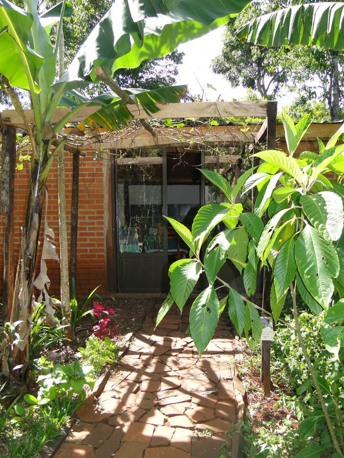 Yasi Yatere Reserva Agroecologica El Soberbio Exterior foto